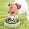 Dog Cat Slow Feeder Bowl Pet Interactive Maze Feeder Bowl Anti-Bloat Feeding Plate
